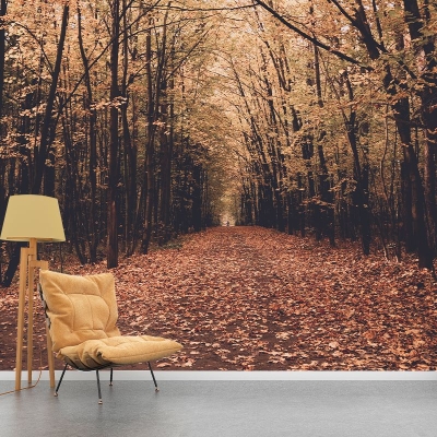 Woods, schmutzabweisende Fotografie-Tapete, Wohnzimmer-Tapete