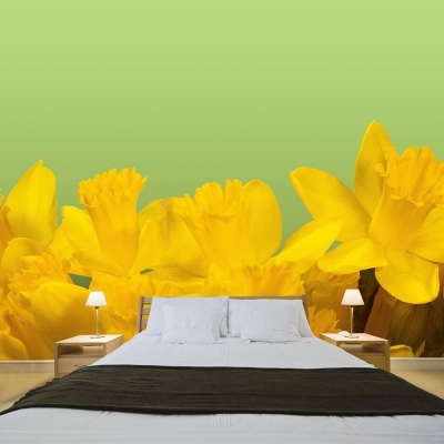 Carta da parati resistente alla muffa dei fiori Illustrazione murale della camera da letto