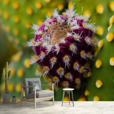 Fotomurale piacevole Fotomurale per soggiorno con motivo cactus tropicale