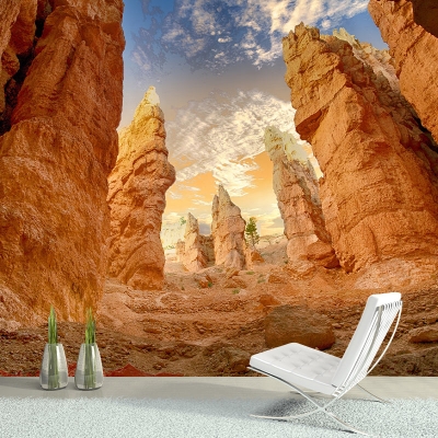 Canyon Photography Pattern Muffa Carta da parati orizzontale per soggiorno
