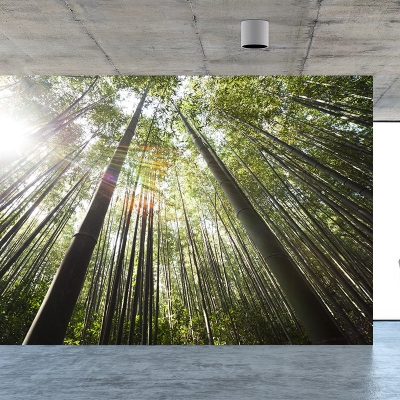 Umweltfreundliche Fotografie Wald Wandgem&auml;lde Wohnzimmer Wandtapete