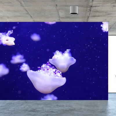 Papier peint de photographie r&eacute;sistant aux taches, d&eacute;coration murale sous-marine pour la maison