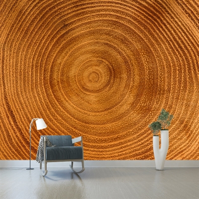 Illustrazione Carta da parati resistente alle macchie con venature del legno Decorazione murale per soggiorno