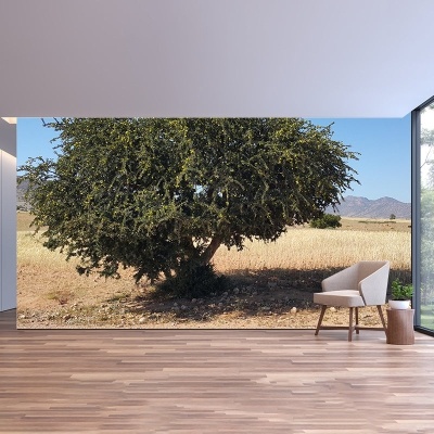 Carta da parati ambientale con paesaggi Carta da parati resistente alle macchie con fotografia del deserto