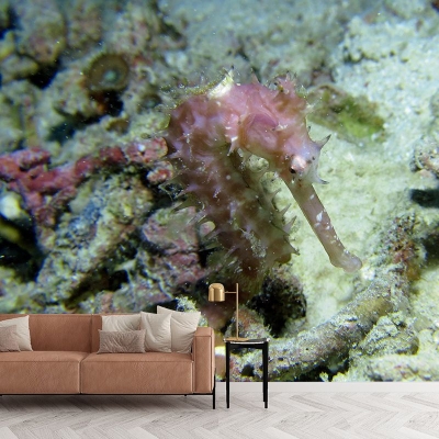 Fotografie Umweltfreundliche Unterwasser-Tapete, Wohnzimmer-Tapete
