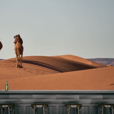 Murale decorativo del deserto Murales fotografici per soggiorno resistenti alle macchie