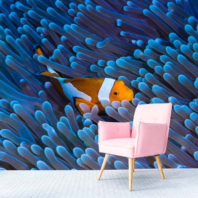 Carta da parati fantasia Decorazione murale per salotto con motivi di pesci pagliaccio
