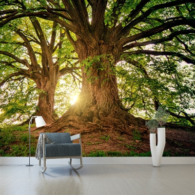Carta da parati decorativa con fotografia di foresta, carta da parati per salotto