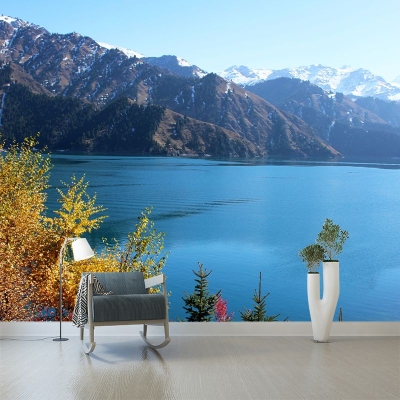 Fotografia Motivo Muffa Carta da parati Lago orizzontale per soggiorno