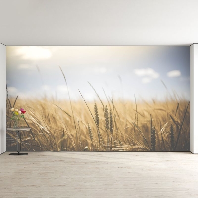 Carta da parati murale resistente ai campi di grano. Carta da parati ecologica per la camera da letto