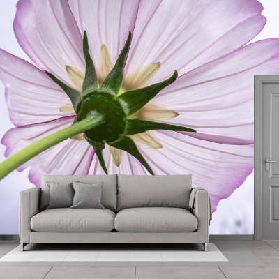 Carta da parati murale per fotografia in stile moderno con fiori. Decorazione murale per interni