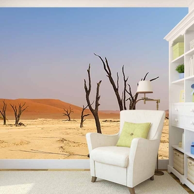 W&uuml;sten-dekorative Fotografie-Tapete f&uuml;r das Wohnzimmer