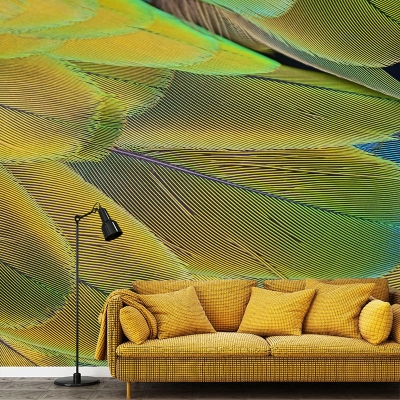 Murale moderno con piume, fotografia decorativa, resistente alle macchie