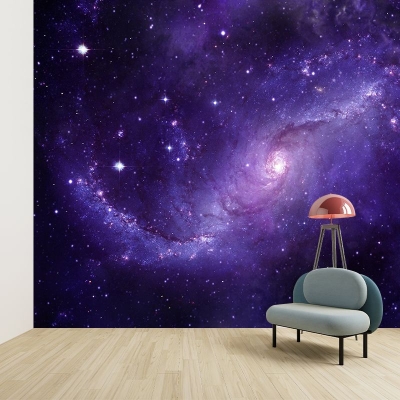 Bella fotografia murale carta da parati cielo stellato murale per interni
