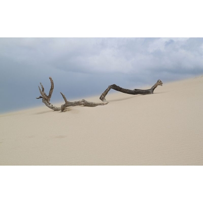 Carta da parati fotografica di paesaggi Decorazione murale resistente al deserto contemporaneo