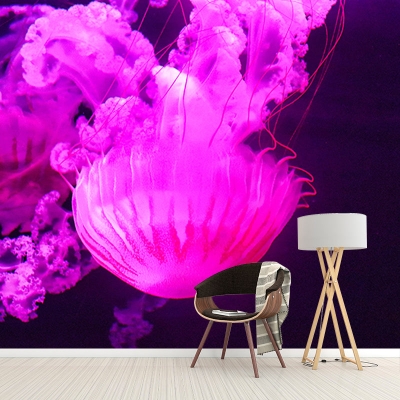 Splendido murale murale per salotto con motivo meduse