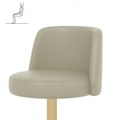 Verstellbarer, drehbarer Barhocker mit Lederr&uuml;ckenlehne, Thekenhocker f&uuml;r Bristol